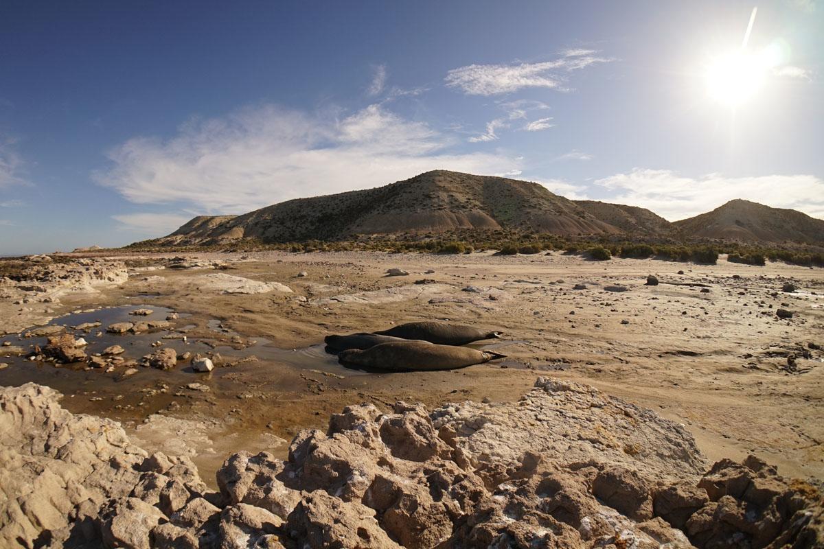 La Antonieta Estancia De Mar Dos Pozos Exteriér fotografie