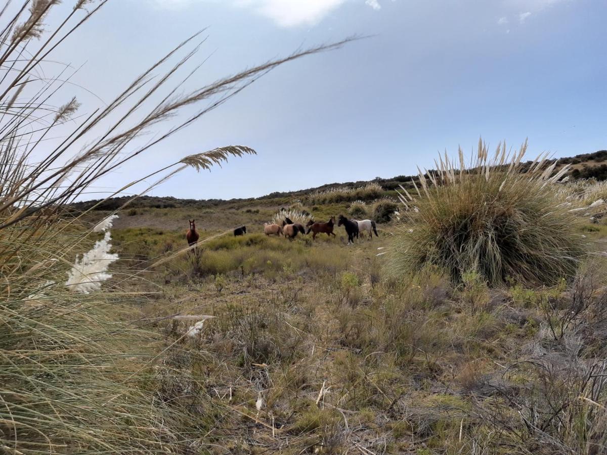 La Antonieta Estancia De Mar Dos Pozos Exteriér fotografie